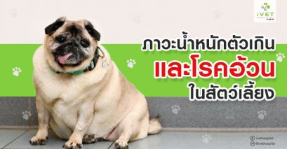 ภาวะน้ำหนักตัวเกินและโรคอ้วนในสัตว์เลี้ยง